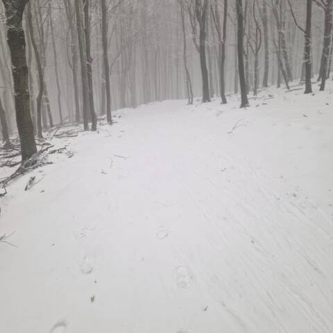 Pre bežkárov od OZ Bežky Baba.