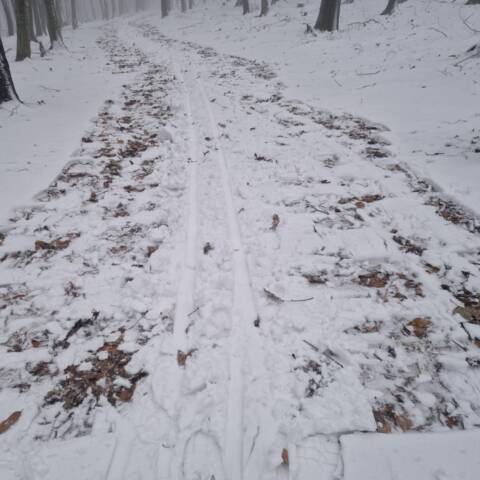 Informácia pre bežkárov od OZ Bežky Baba.