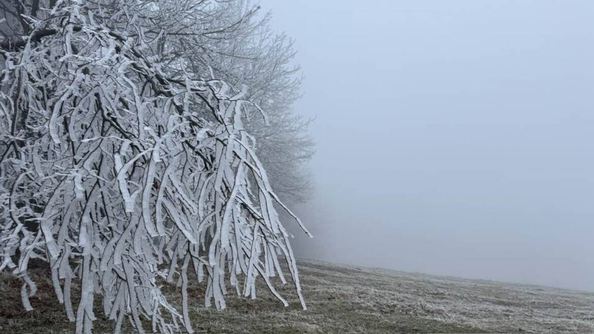 Návrat hmly a teplôt mierne pod nulou spôsobili tvorbu ľadovej námrazy.