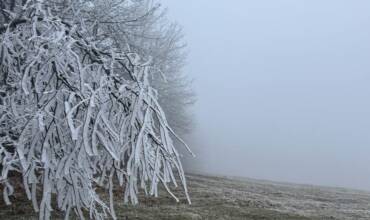 Baba 15 12 2025 Baba 15 12 2025