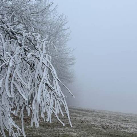 Návrat hmly a teplôt mierne pod nulou spôsobili tvorbu ľadovej námrazy.