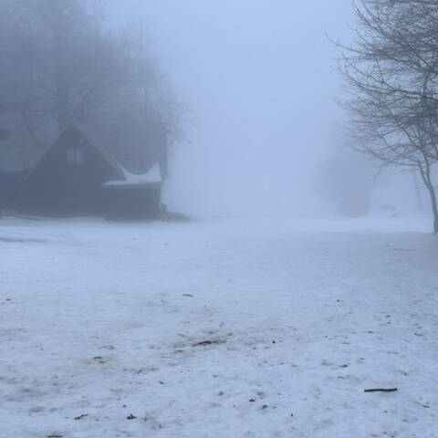 Pri miernom mraze a mrholení sa vytvorila poľadovica.