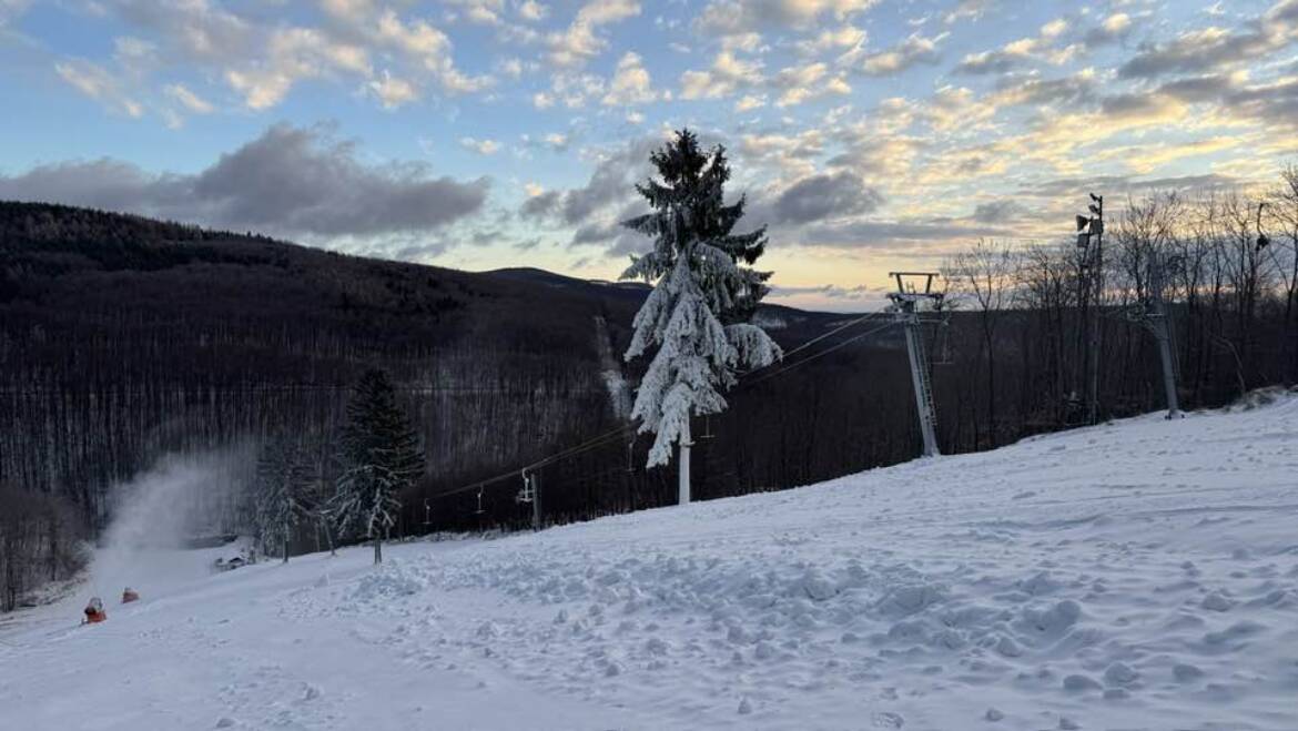 Nad ránom napadlo do 3 cm vlhkého snehu.