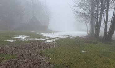 Baba 5 12 2025 Baba 5 12 2025