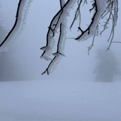 Prevádzka je v oboch strediskách.