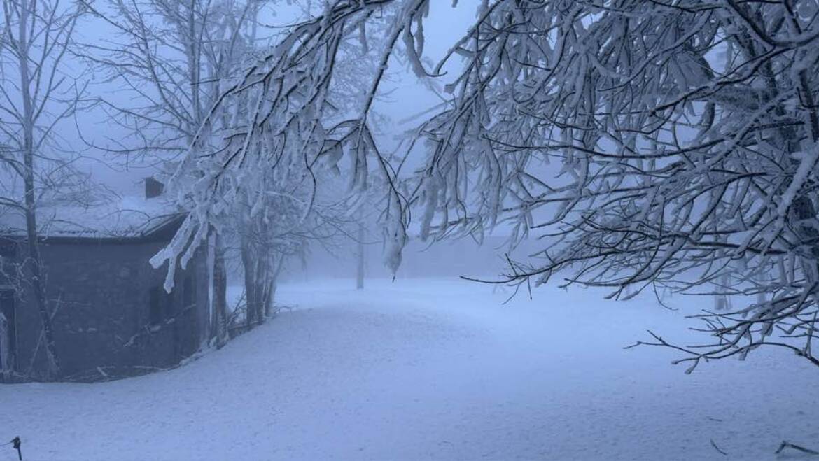 Prevádzka je v oboch strediskách.