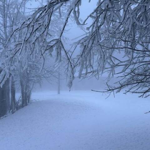 Prevádzka je v oboch strediskách.