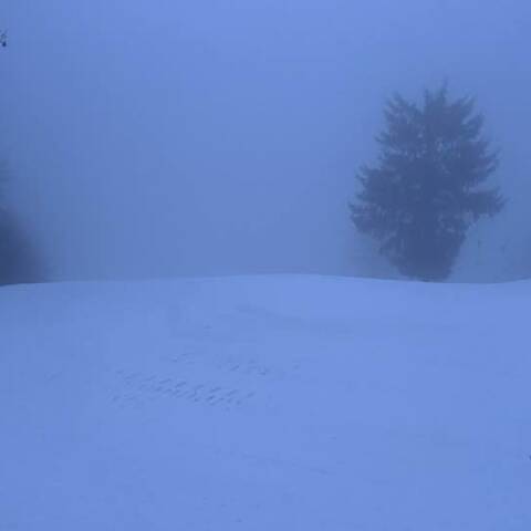 Prevádzka je v oboch strediskách.