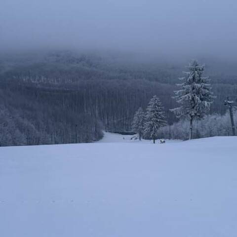 Prevádzka je v oboch strediskách.