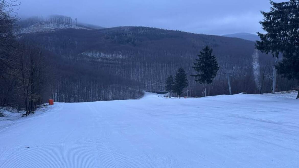 V noci padol jemný poprašok snehu.