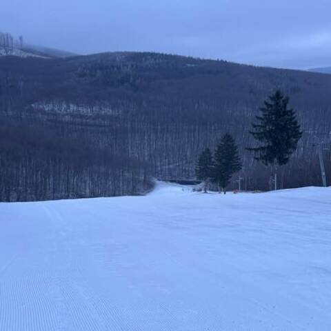 V noci padol jemný poprašok snehu.