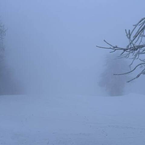 Prevádzka je v oboch strediskách.