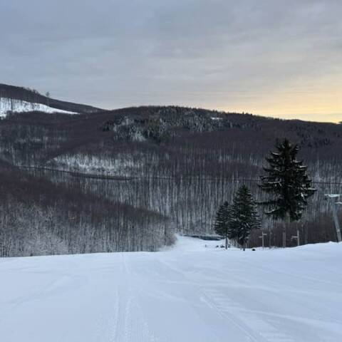 Both centers are in operation.