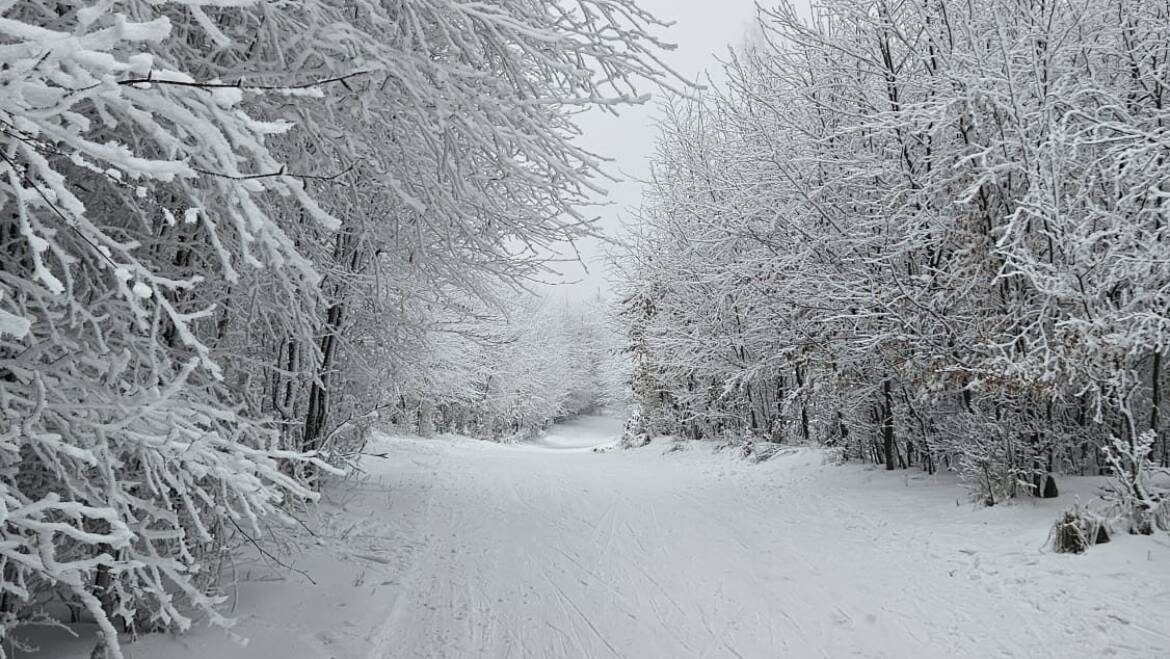 Information from the manager of the cross-country skiing area.