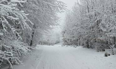 Baba 3 2 2026 bezky Baba 3 2 2026 bezky