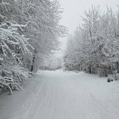 Informácia od správcu bežkárskeho areálu.
