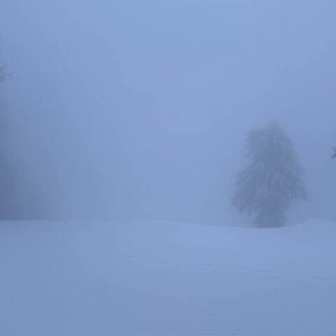 Prevádzka je v oboch strediskách.