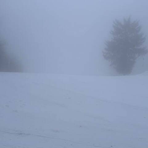 Prevádzka je v oboch strediskách.