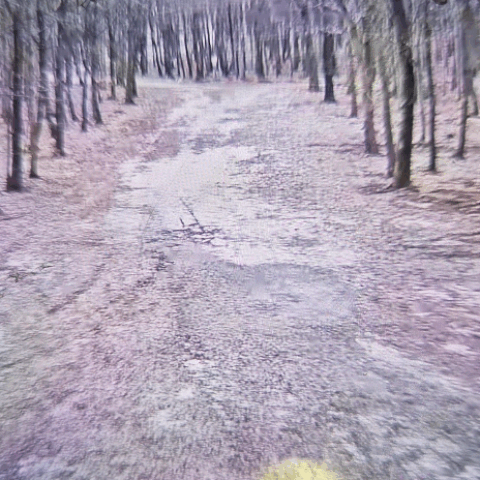 Informácia od správcu bežkárskeho areálu.