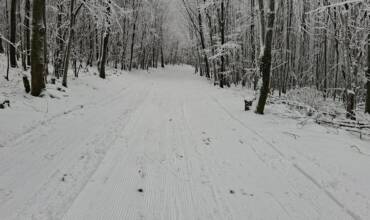 Baba bezky 17 2 2026 Baba bezky 17 2 2026