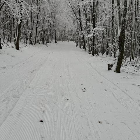 Informácia od správcu bežkárskeho areálu.