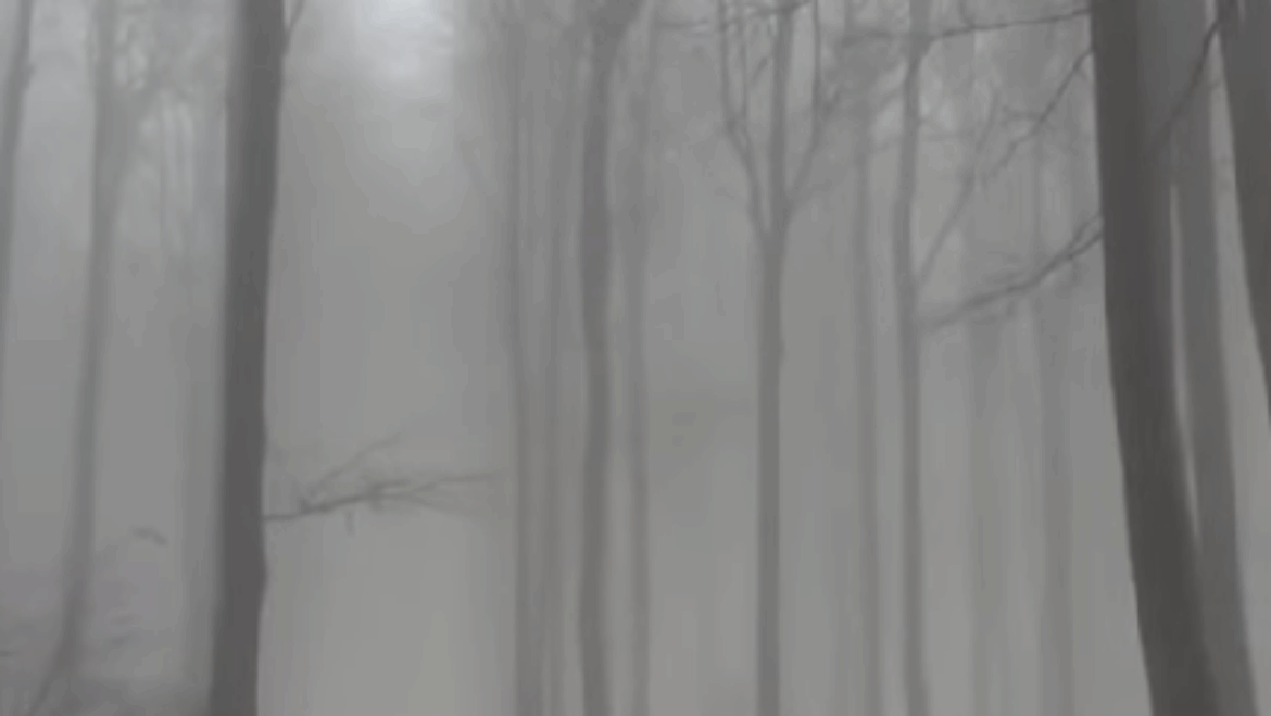 Informácia od správcu bežkárskeho areálu.