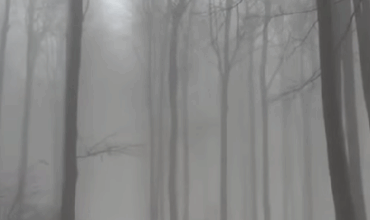 Baba bežky 5 2 2026