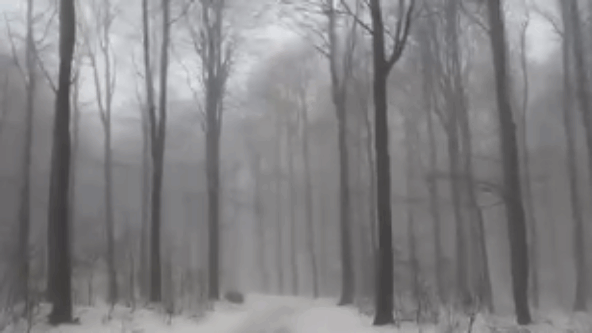 Informácia od správcu bežkárskeho areálu.