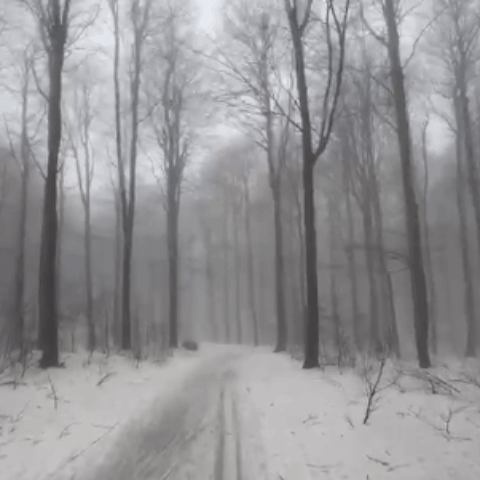 Informácia od správcu bežkárskeho areálu.