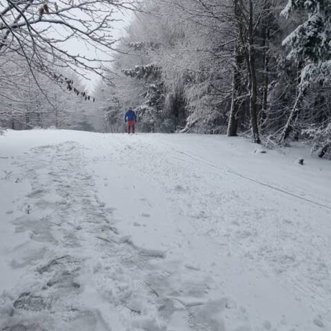 Informácia od správcu bežkárskeho areálu.