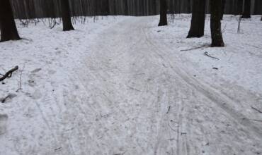 WhatsApp Image 2026-02-07 at 09.25.21