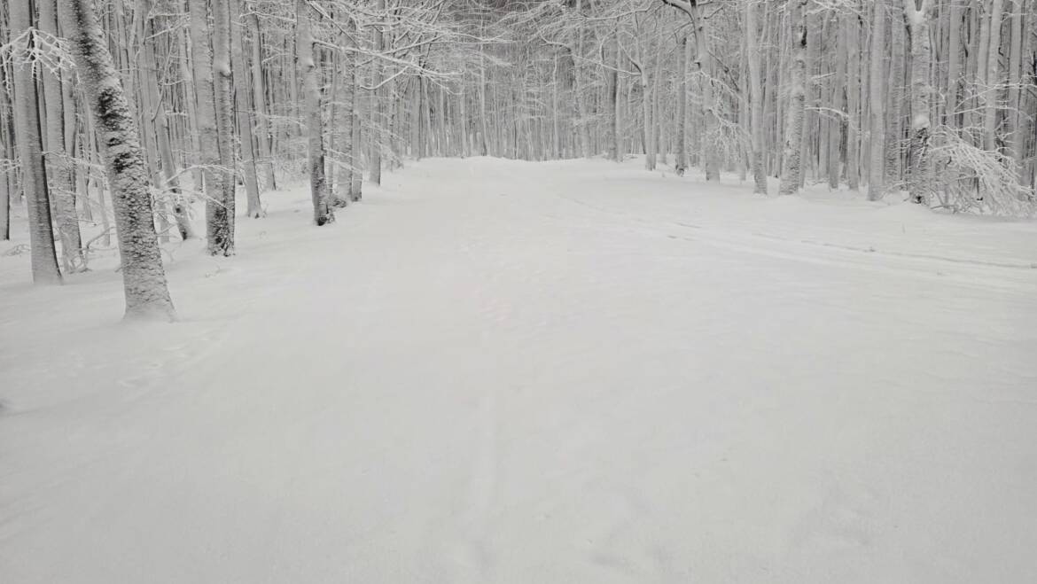 Informácia od správcu bežkarskeho areálu.