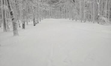 1B5C6946-509F-44A8-89EE-36C99C98ACA8 1B5C6946-509F-44A8-89EE-36C99C98ACA8