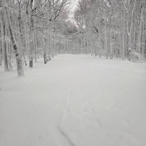 Information from the administrator of the cross-country skiing area.