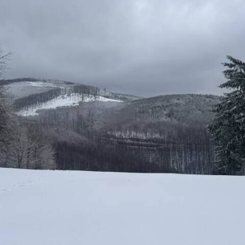 Wet snow fell on Pezinská Baba.